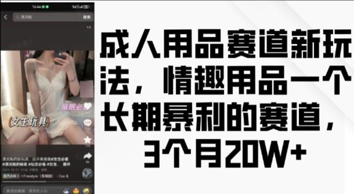 图片[1]-成人用品赛道新玩法，情趣用品一个长期暴利的赛道，3个月收益20个-蛙蛙资源网