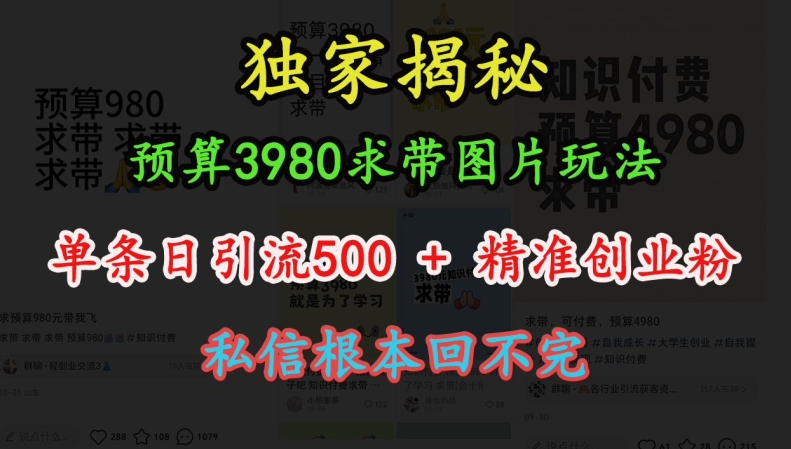 图片[1]-预算3980求带 图片玩法，单条日引流500+精准创业粉，私信根本回不完-蛙蛙资源网