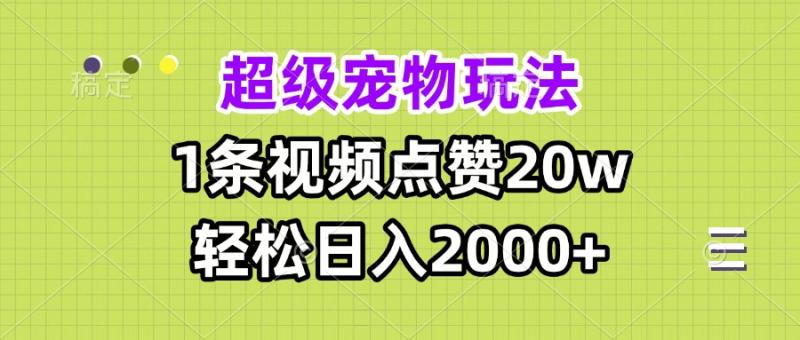 （13578期）超级宠物视频玩法，1条视频点赞20w，轻松日入2000+