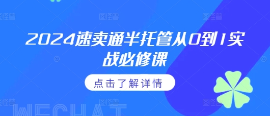 图片[1]-2024速卖通半托管从0到1实战必修课，掌握通投广告打法、熟悉速卖通半托管的政策细节-蛙蛙资源网