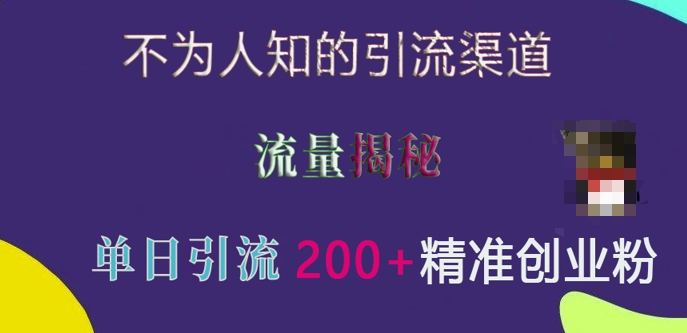 图片[1]-不为人知的引流渠道，流量揭秘，实测单日引流200+精准创业粉-蛙蛙资源网