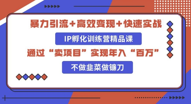 知识付费独家玩法：精准引流+高效变现，简单复制成功模式，最新IP共创导师训练营玩法