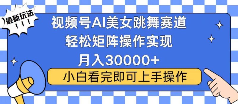 （13813期）视频号蓝海赛道玩法，当天起号，拉爆流量收益，小白也能轻松月入30000+-1