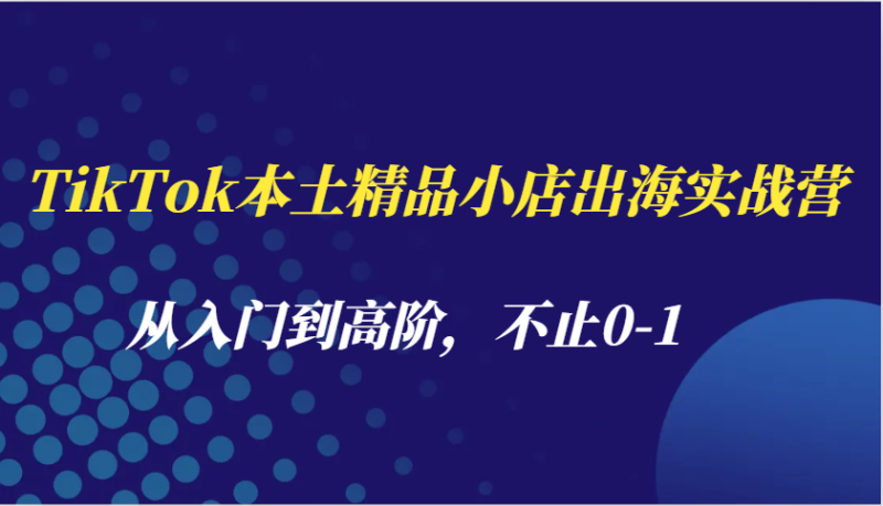 图片[1]-TikTok本土精品小店出海实战营，从入门到高阶，不止0-1-蛙蛙资源网