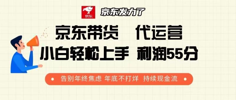 图片[1]-（13833期）京东带货 代运营 利润55分 告别年终焦虑 年底不打烊 持续现金流-蛙蛙资源网