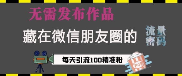 图片[1]-藏在微信朋友圈的流量密码，无需发布作品，单日引流100+精准创业粉【揭秘】-蛙蛙资源网