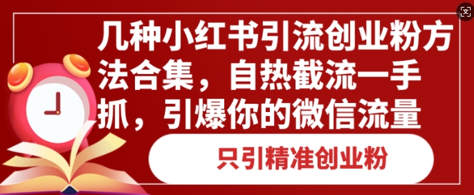 图片[1]-几种小红书引流创业粉方法合集，自热截流一手抓，引爆你的微信流量-蛙蛙资源网