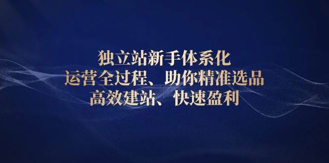 图片[1]-独立站新手体系化 运营全过程，助你精准选品、高效建站、快速盈利-蛙蛙资源网