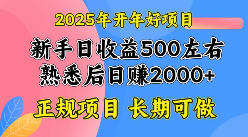 （14076期）2025开年好项目，单号日收益2000左右