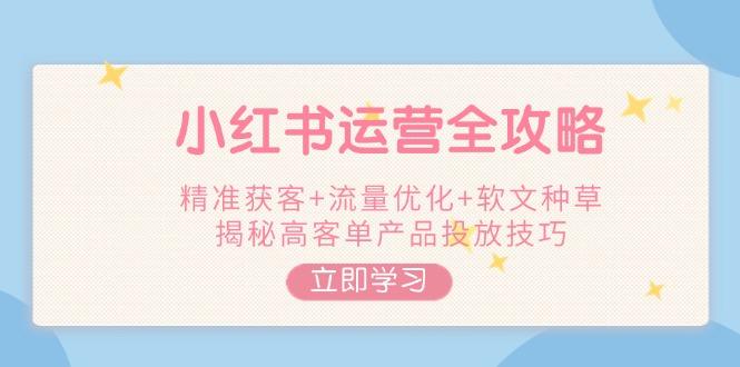 （14207期）小红书运营全攻略，精准获客+流量优化+软文种草，揭秘高客单产品投放技巧