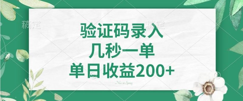 （14221期）验证码录入，几秒一单，单日收益200+