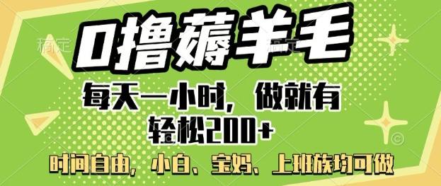 0撸薅羊毛，每天一小时，做就有轻松2张，小白宝妈，上班族均可做