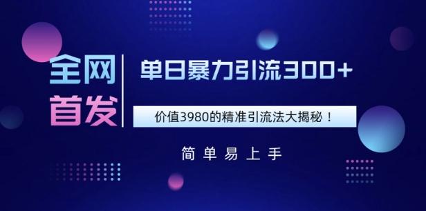 全网首发，价值3980单日暴力引流300+的精准引流法大揭秘