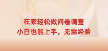 在家轻松做问卷调查，小白也能上手，无需经验