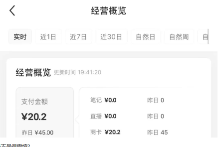 小红书虚拟资料店铺项目，复制粘贴搬运，从选品，上架，到出单全自动发货，一个月两W