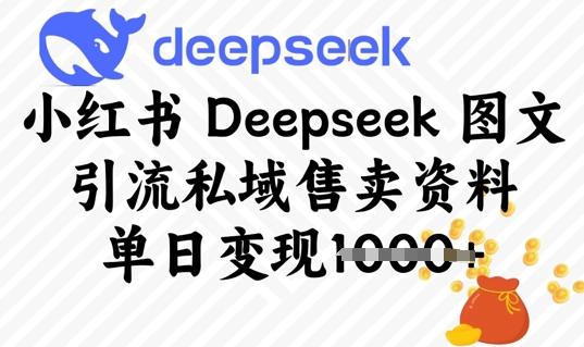 小红书Deepseek 图文引流私域售卖资料，单日变现多张