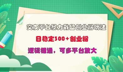 交友平台暴力截流创业粉玩法，日稳定300+精准创业粉，逻辑相通，可多平台放大