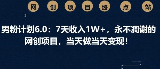 男粉计划6.0：7天收入1W+，永不凋谢的网创项目，当天做当天变现