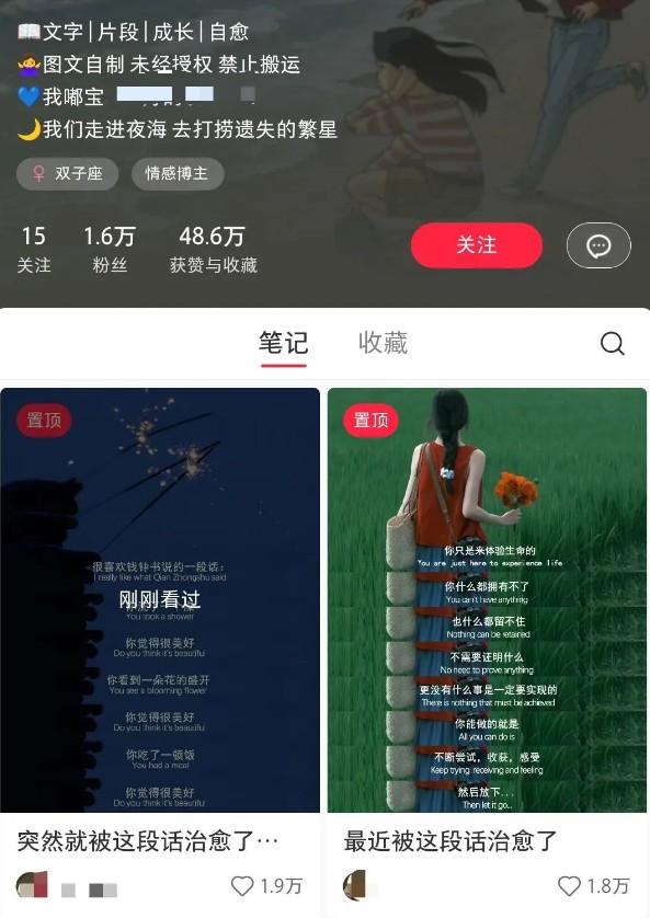 小红书治愈文案图文笔记，零门槛，一分钟制作轻松制作爆款作品月入万元
