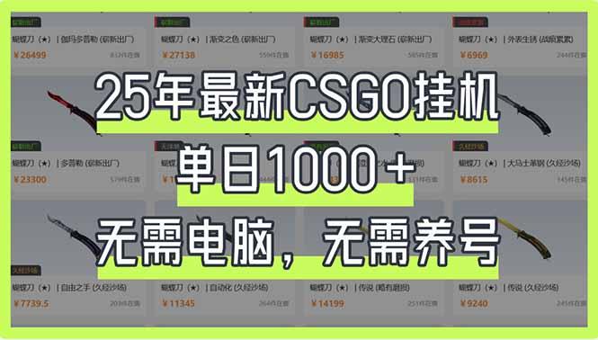（14178期）25年最新CSGO挂机系统，单日1000+，无需电脑，无需养号，0基础可上手