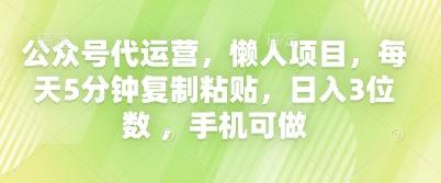 公众号代运营，懒人项目，每天5分钟复制粘贴，日入3位数 ，手机可做