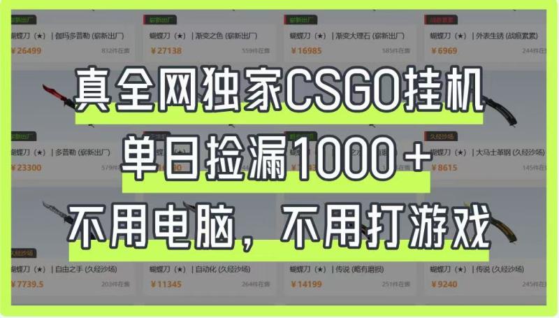 真全网独家CSGO挂机，单日捡漏1000+，不用电脑，不用养号