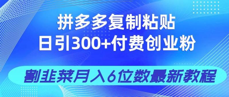 （14232期）拼多多复制粘贴日引300+付费创业粉，割韭菜月入6位数最新教程！