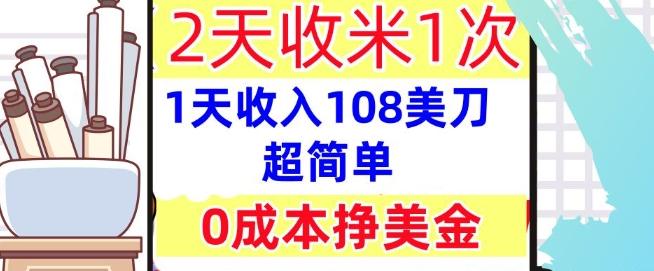 0成本挣美金，超简单，1天收入108刀，2天收米一次，实战教程，首次公开