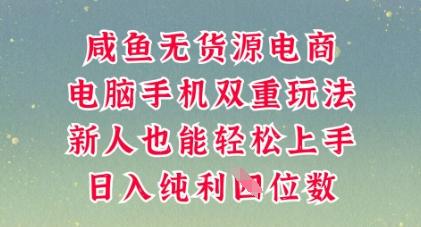 咸鱼无货源电商，多种运营方式，带你从零到一拿结果，可做代运营，也可软件一键发布【揭秘】