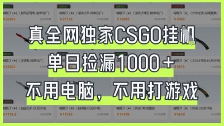 真全网独家CSGO挂G，单日捡漏1k+