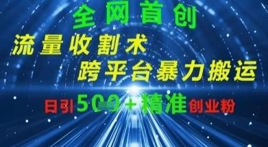 全网流量收割术：跨平台暴力搬运，日引500+精准创业粉