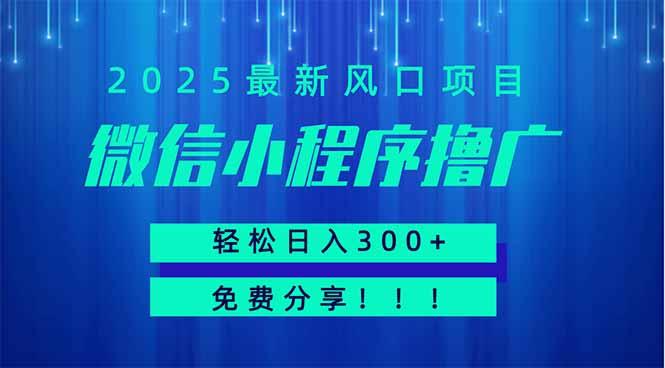 （14375期）微信小程序撸广，最新风口项目，日入300+ 免费分享 可批量操作 小白可…