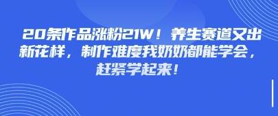 20条作品涨粉21W！养生赛道又出新花样，制作难度我奶奶都能学会，赶紧学起来