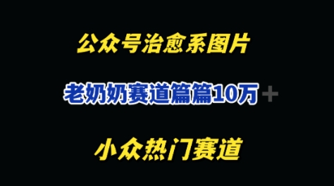 公众号老奶奶治愈系流量主，篇篇10W+