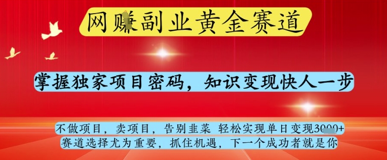 网创副业黄全赛道，掌握独家项目密码，知识变现快人一步，告别韭菜轻松实现单日变现1k+