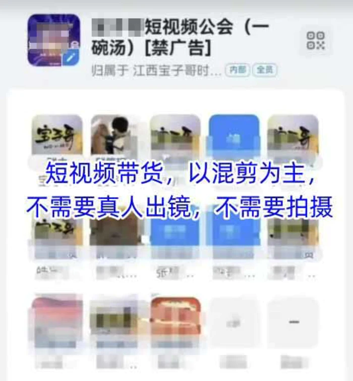 （14692期）2025短视频带货内训营，以混剪为主，不需要真人出镜，不需要拍摄