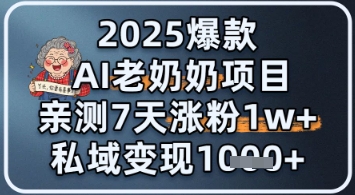 2025爆款 AI 老奶奶项目：亲测 7 天涨粉 1W+，私域变现 1k+