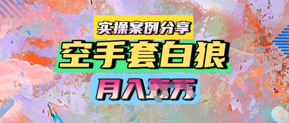 空手套白狼，月入过1W，实操案例分享