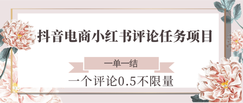 抖音电商小红书评论任务项目，一个评论0.5，一单一结 不限量