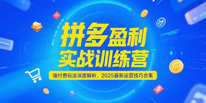 （15183期）拼多多盈利实战训练营，强付费玩法深度解析，2025运营技巧合集-更新6月