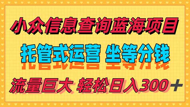（15216期）稳定日入300＋，小众信息查询蓝海项目，全程懒人式托管，解放你的时间