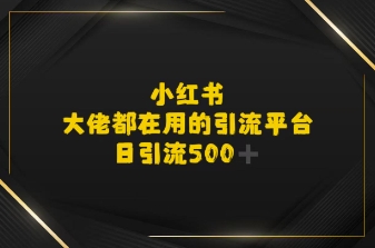 小红书，大佬都在用的大粉平台，日引流500+