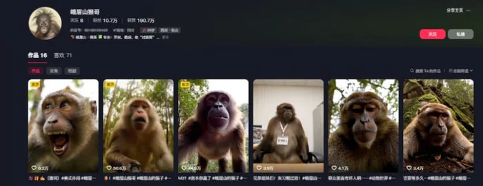 最新爆火的峨眉山猴子短视频制作教程，条条点赞10w+，谁做谁火【教程+提示词】