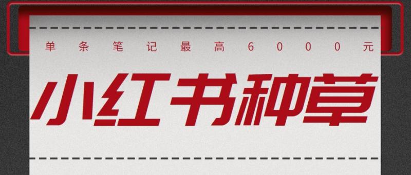 抖音精选小红书种草玩法，笔记成功发布30元/条，单条笔记最高6000元