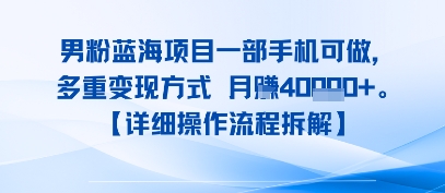 8月新男粉蓝海项目一部手机可做，多重变现方式 月入4W+【详细操作流程拆解】
