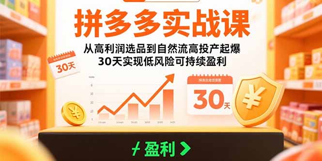 拼多多实战课：从高利润选品到自然流高投产起爆 30天实现低风险可持续盈利