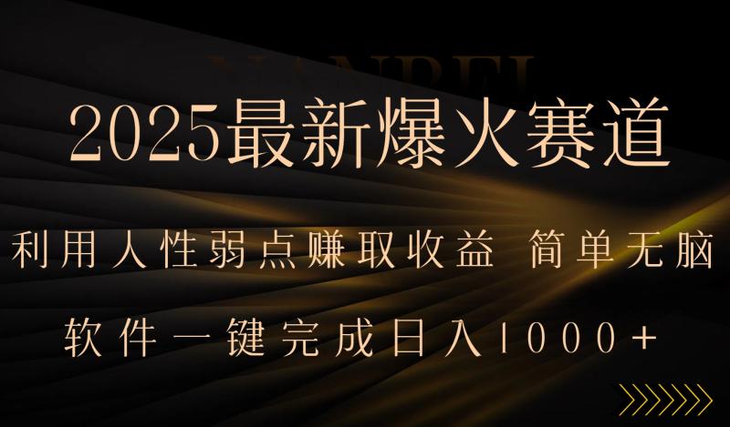2025最新爆火赛道，利用人生弱点赚取收益，全程一键批量制作，小白轻松…