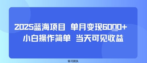 2025蓝海项目 单月变现6k+ 小白操作简单 当天可见收益