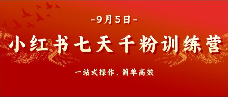 小红书七天千粉训练营，一站式操作，简单高效