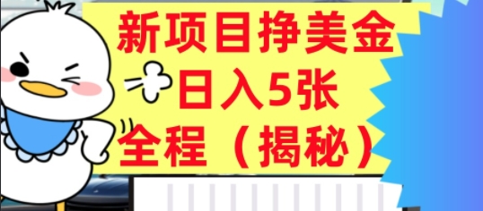 最新挣美金项目，日入5张，全程揭秘，小白也能轻松入手，长久被动收入
